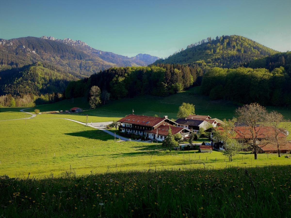 Gschwendtnerhof App10 Krausw Lägenhet Aschau im Chiemgau Exteriör bild